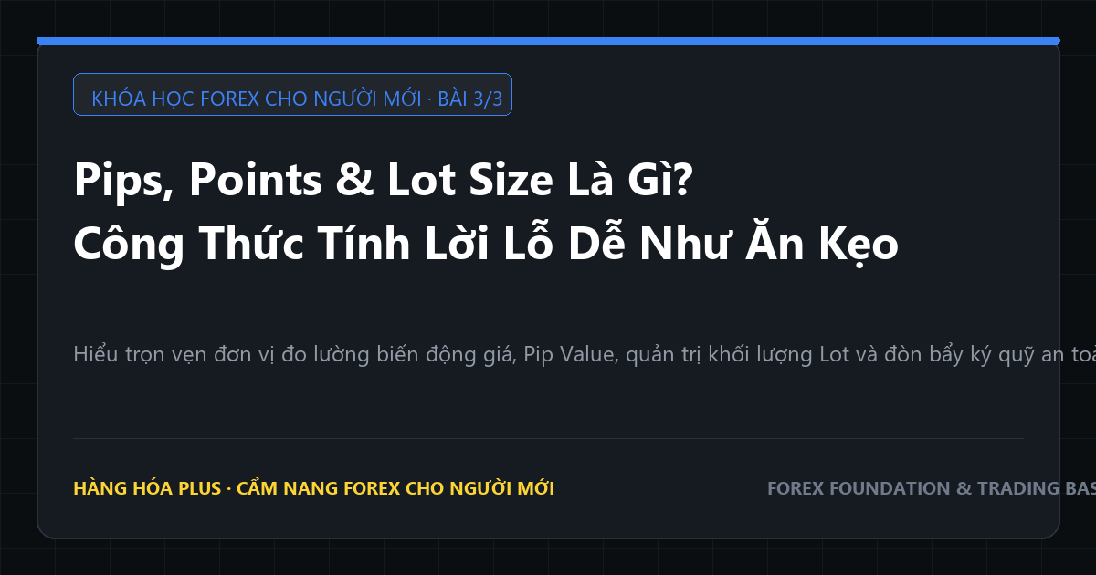 Khóa học forex cho người mới phần 3 pips points lot size va cach tinh loi nhuan